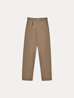 Брюки мужские (6130D)